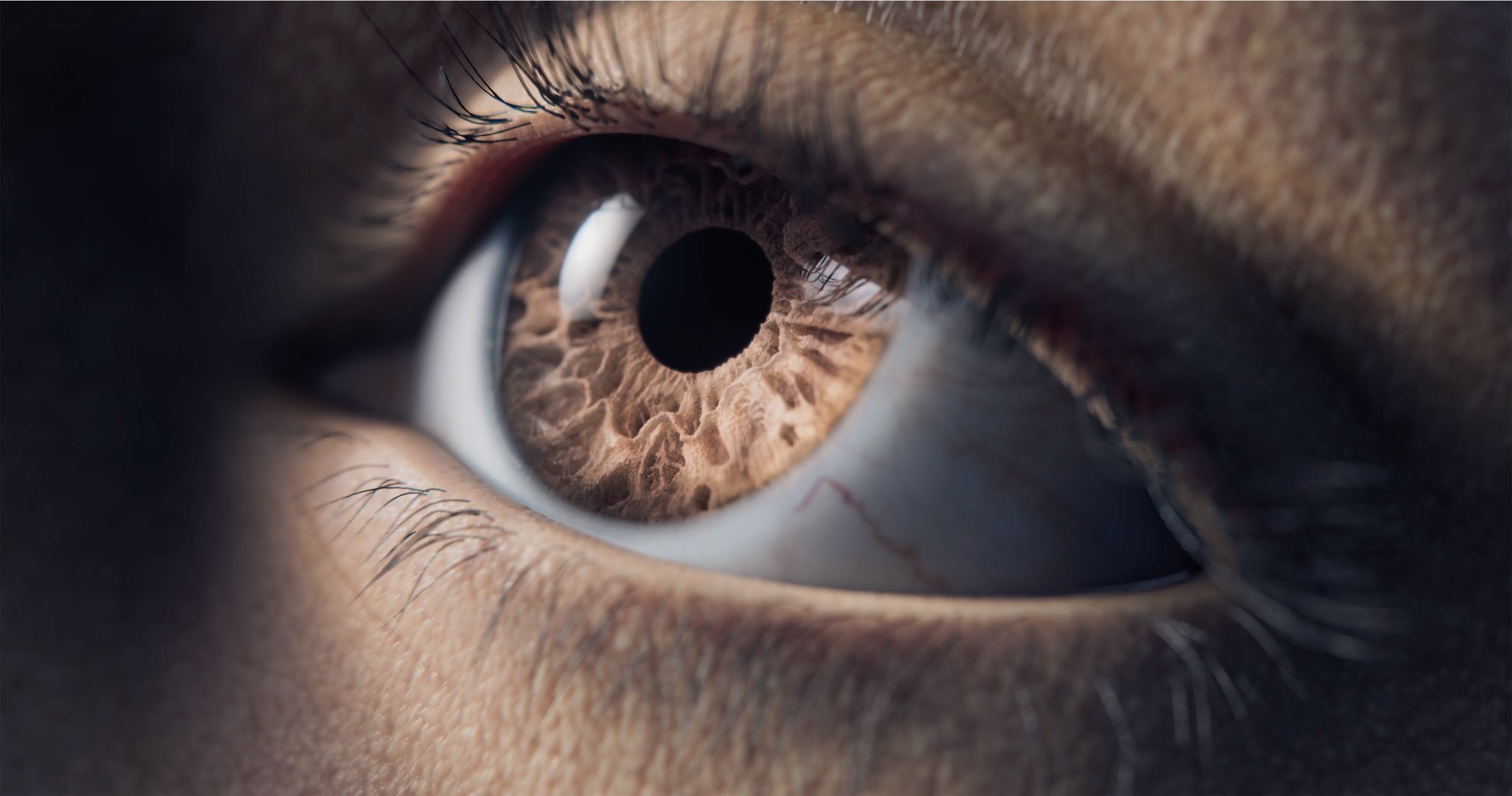 Close-up 3D animation of brown eye.jpg